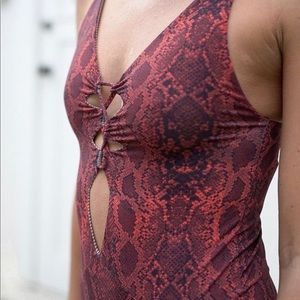 Python acacia Kokomo